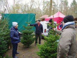 Weihnachtsmarkt 2024 im Arboretum